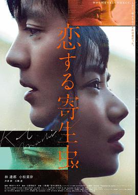 电影：桃花恋曲